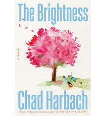Little, Brown and Company The Brightness: A Novel