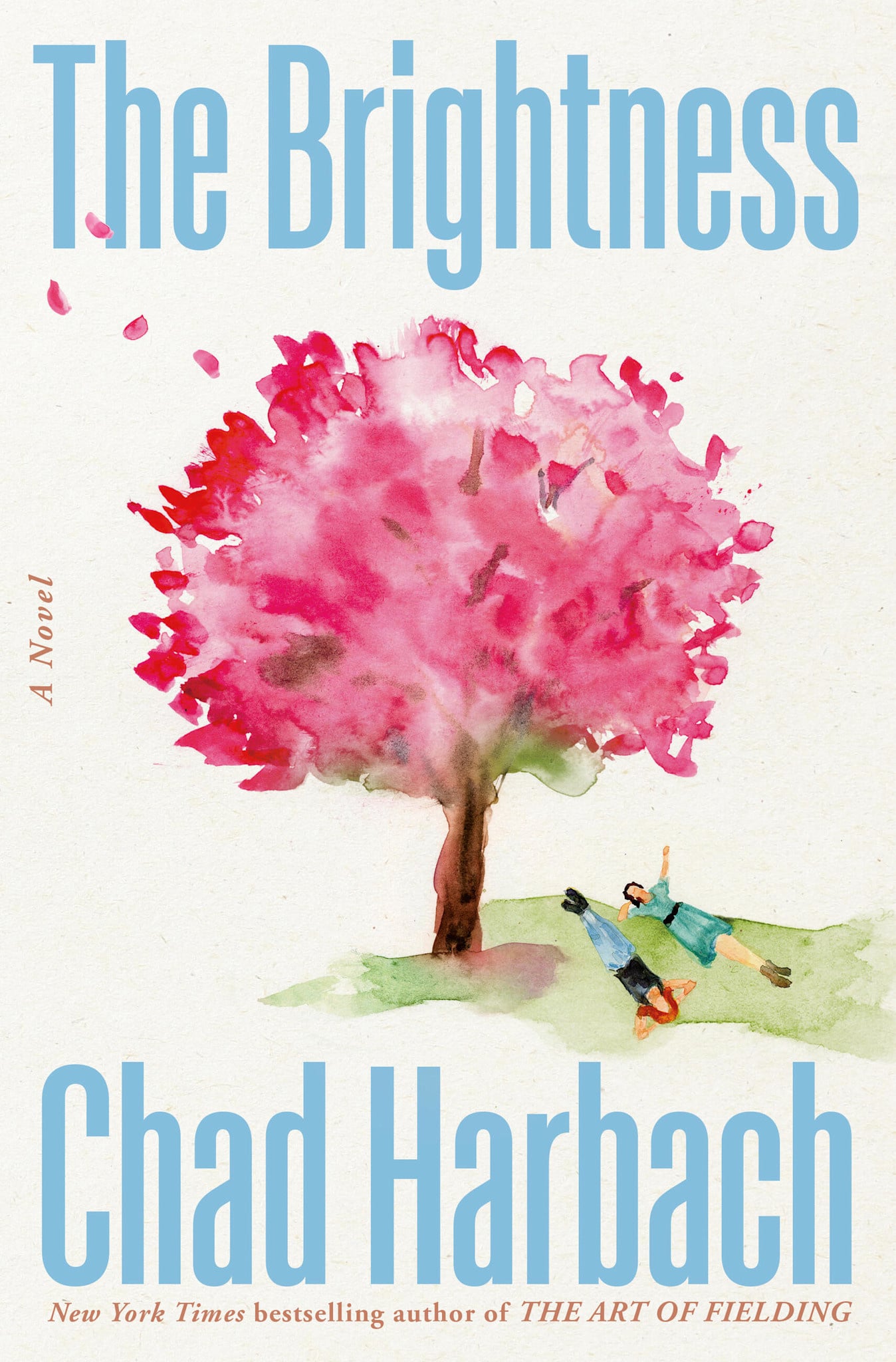 Little, Brown and Company The Brightness: A Novel