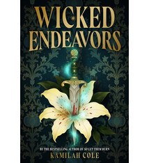 Little, Brown Books for Young Readers Wicked Endeavors