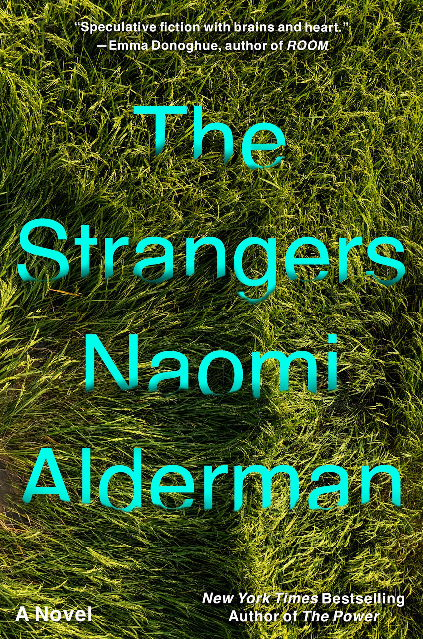 Little, Brown and Company The Strangers