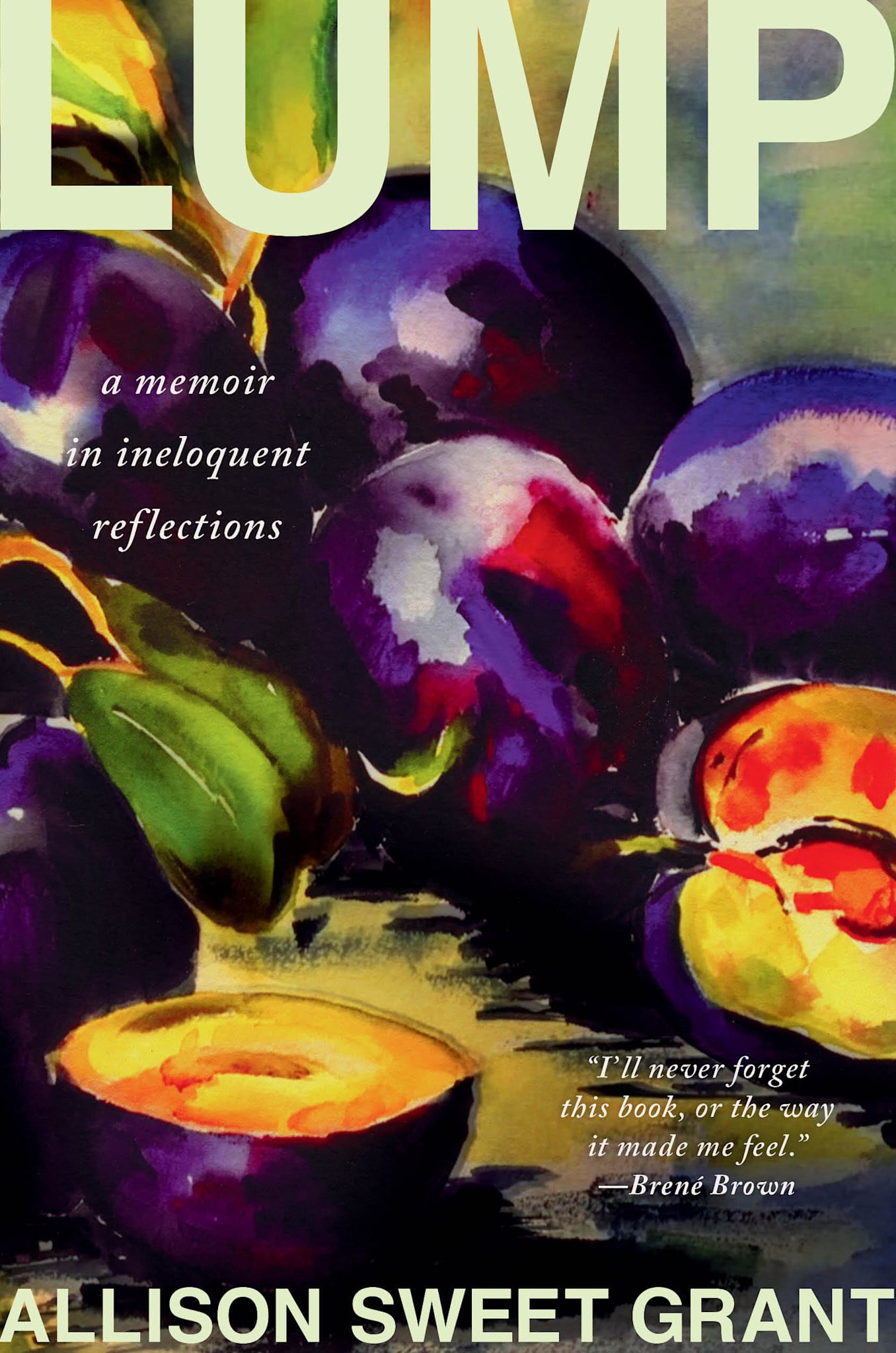 Little, Brown and Company Lump: A Memoir in Ineloquent Reflections