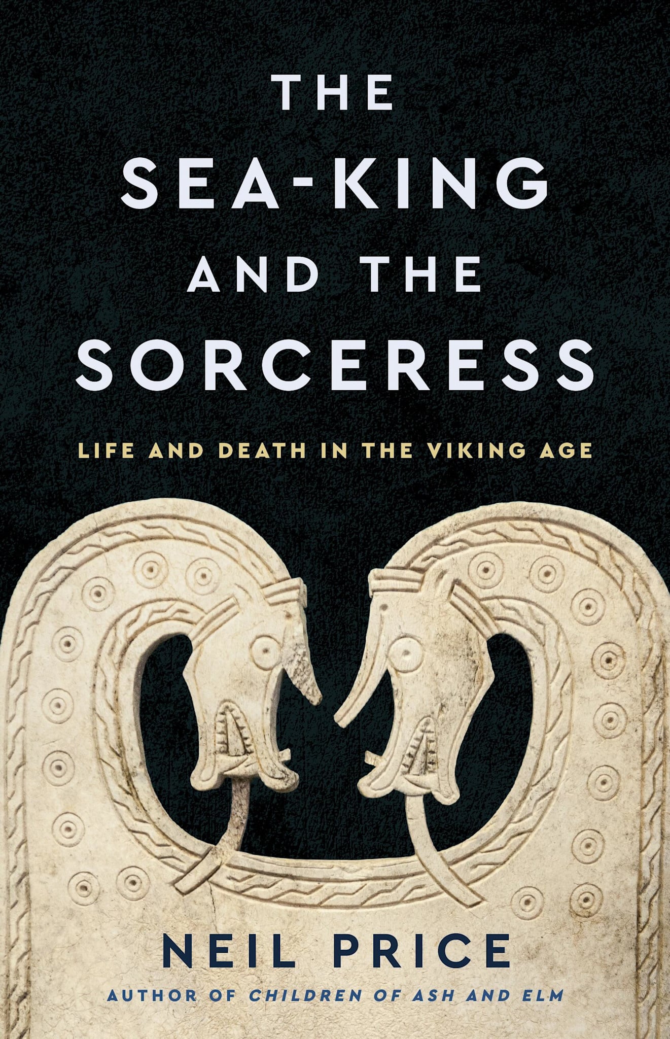 Basic Books The Sea-King and the Sorceress: Life and Death in the Viking Age