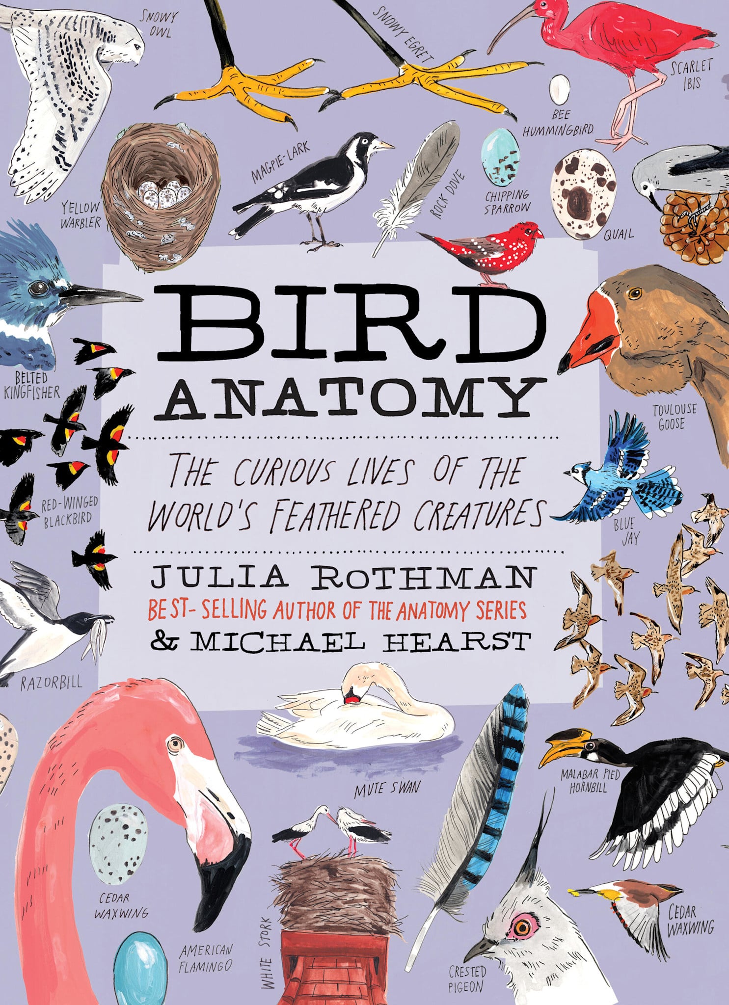 Storey Publishing, LLC Bird Anatomy: The Curious Lives of the World's Feathered Creatures