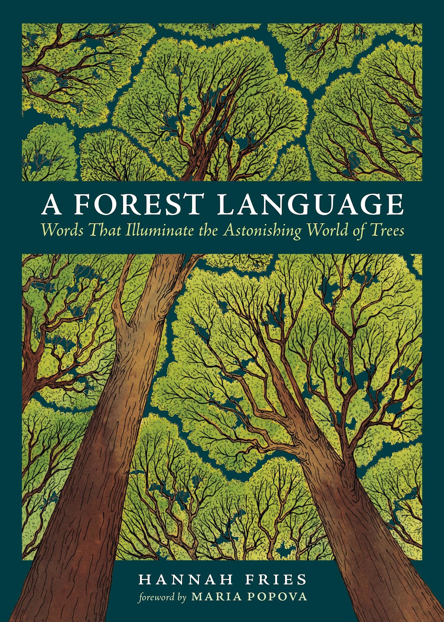 Storey Publishing, LLC A Forest Language: Words That Illuminate the Astonishing World of Trees