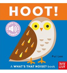 Nosy Crow What's That Noise? Hoot!