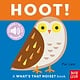 Nosy Crow What's That Noise? Hoot!