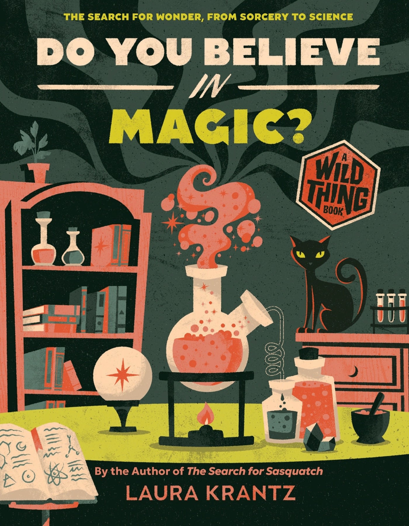 Abrams Books for Young Readers Do You Believe In Magic? (A Wild Thing Book): The Search for Wonder, from Sorcery to Science