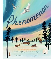 Magic Cat Phenomenon: Marvels of Nature from the Big Bang to the Northern Lights