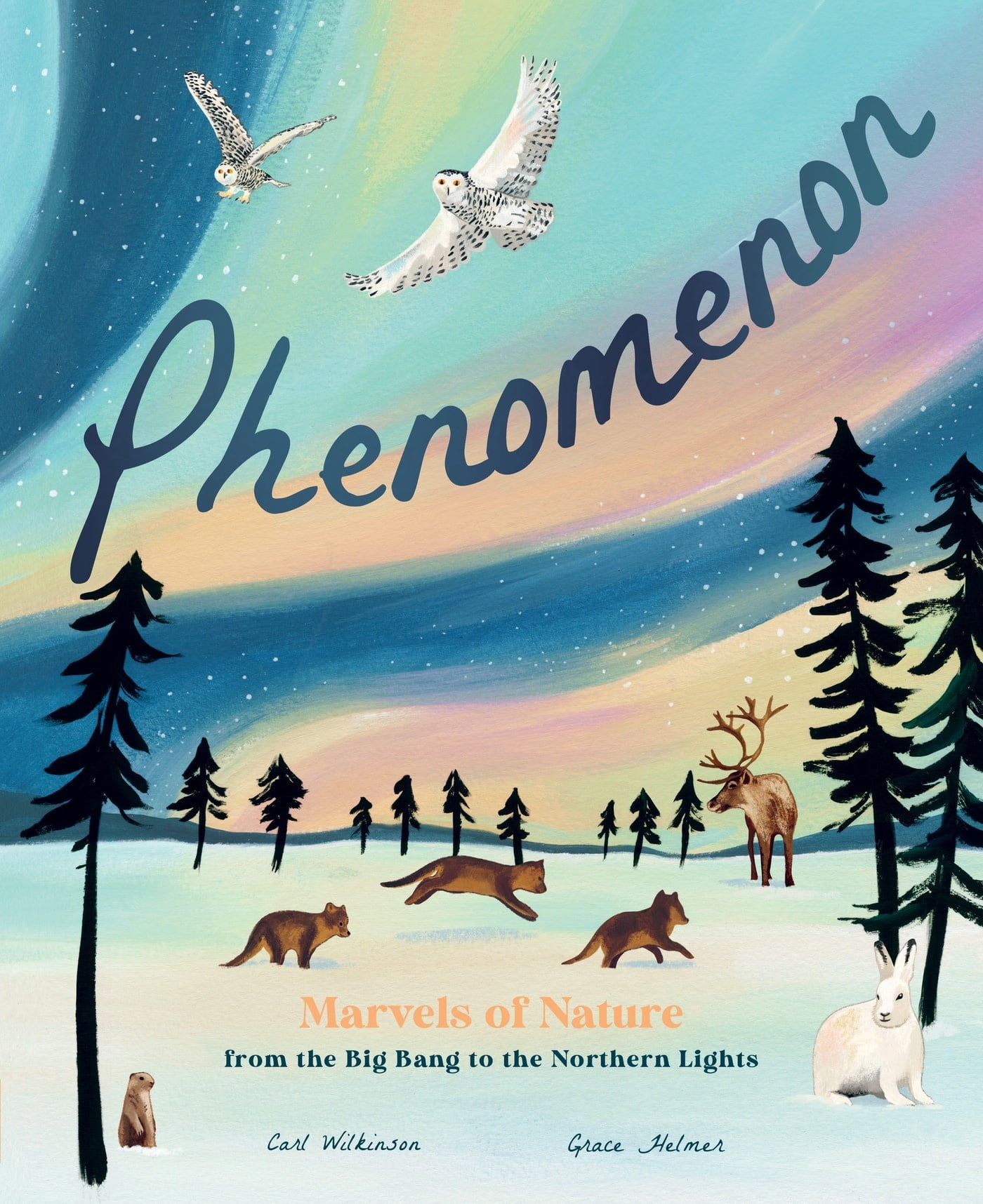 Magic Cat Phenomenon: Marvels of Nature from the Big Bang to the Northern Lights