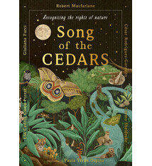 Magic Cat Song of the Cedars