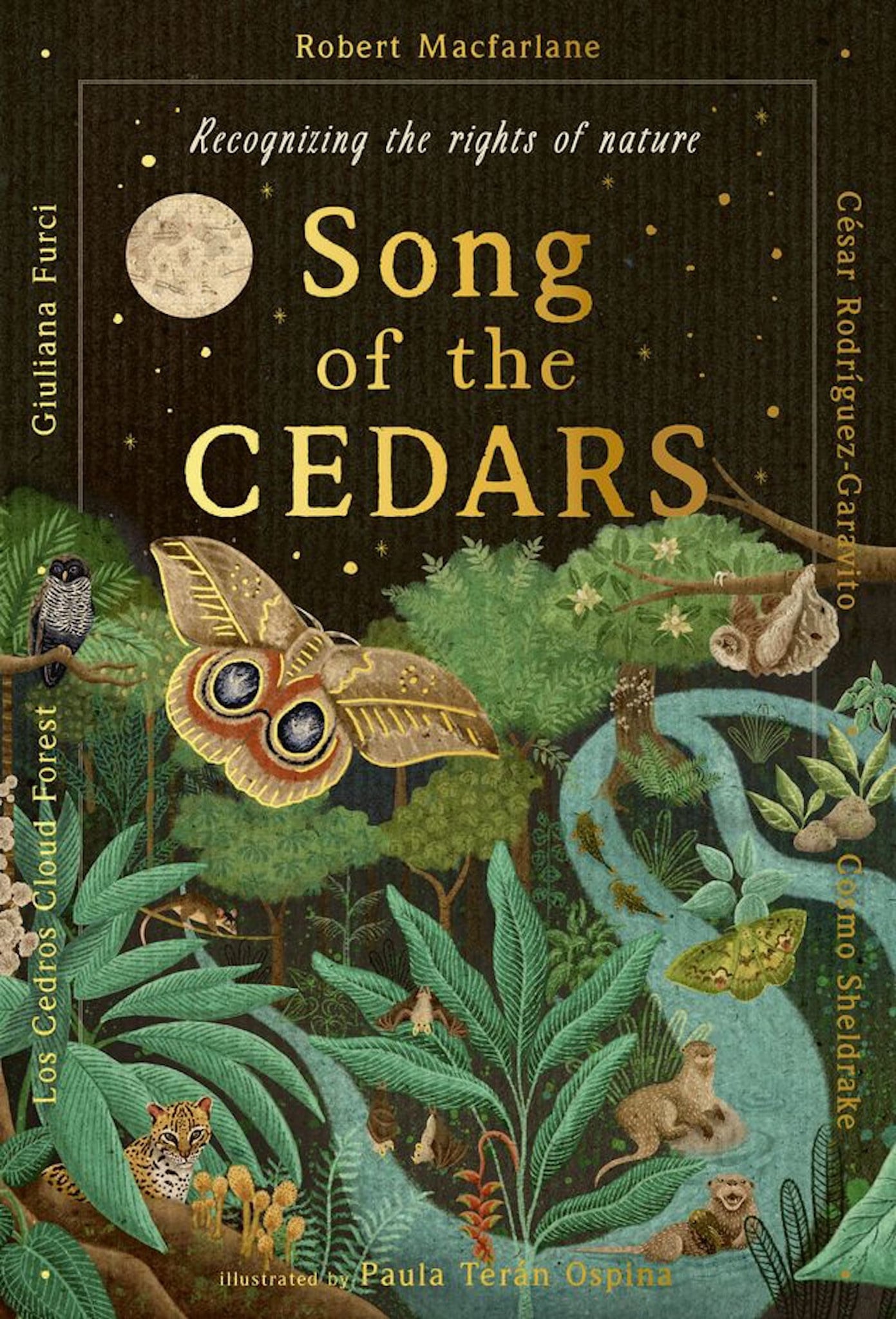 Magic Cat Song of the Cedars