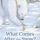 Floris Books What Comes After the Snow?