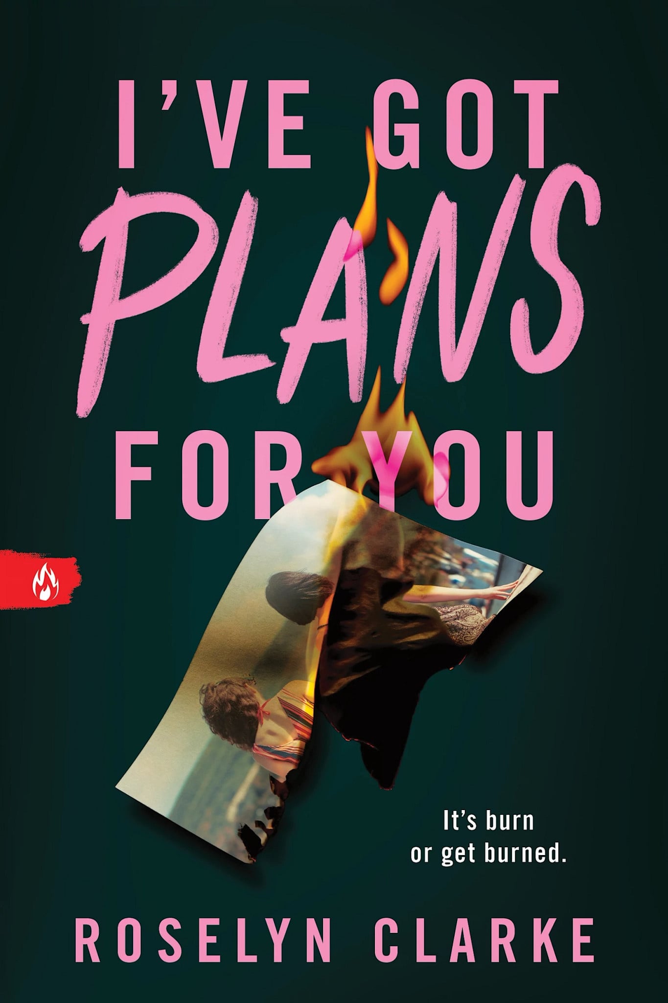 Sourcebooks Fire I've Got Plans for You