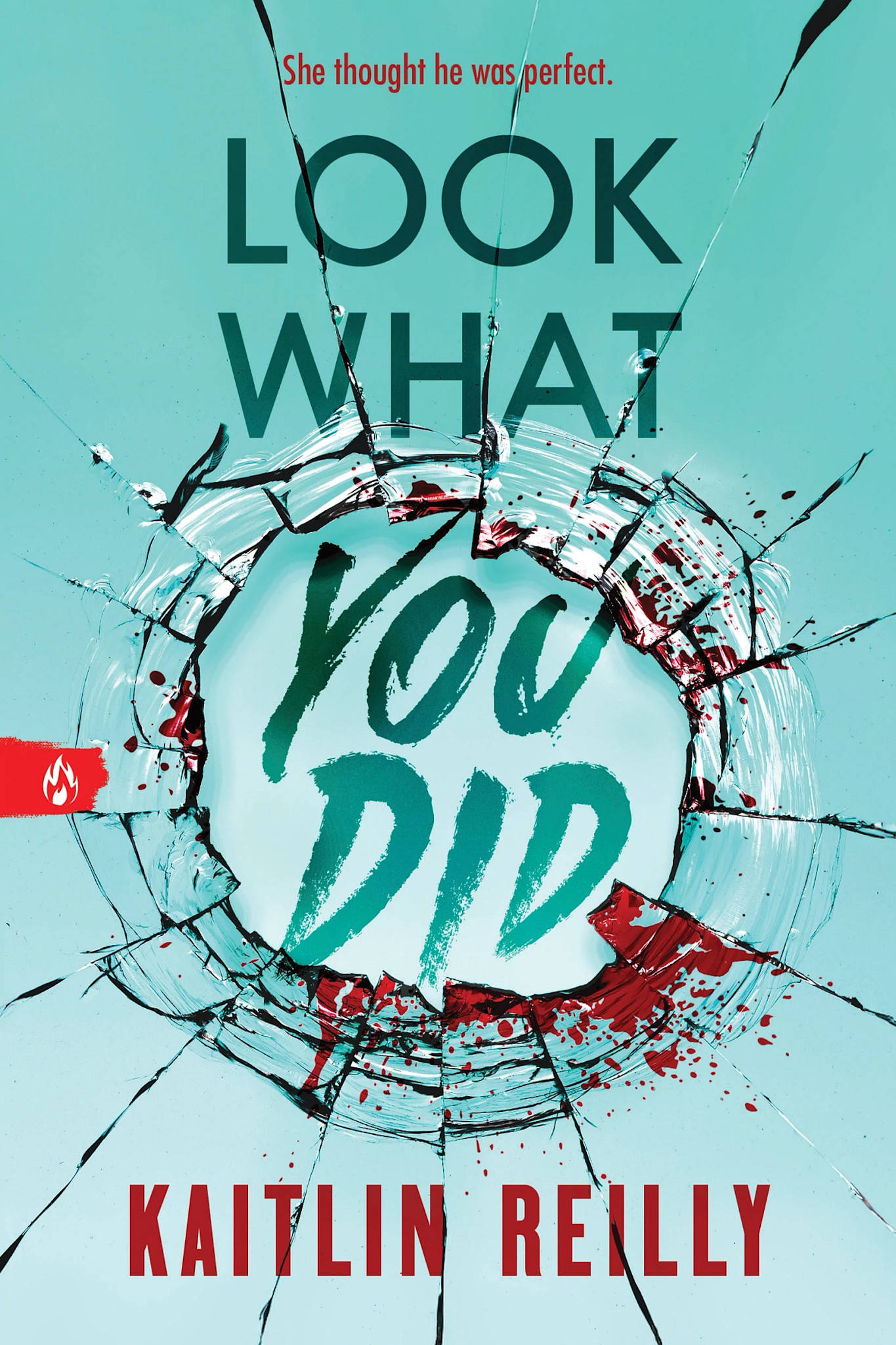 Sourcebooks Fire Look What You Did