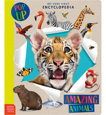 Make Believe Ideas Amazing Animals