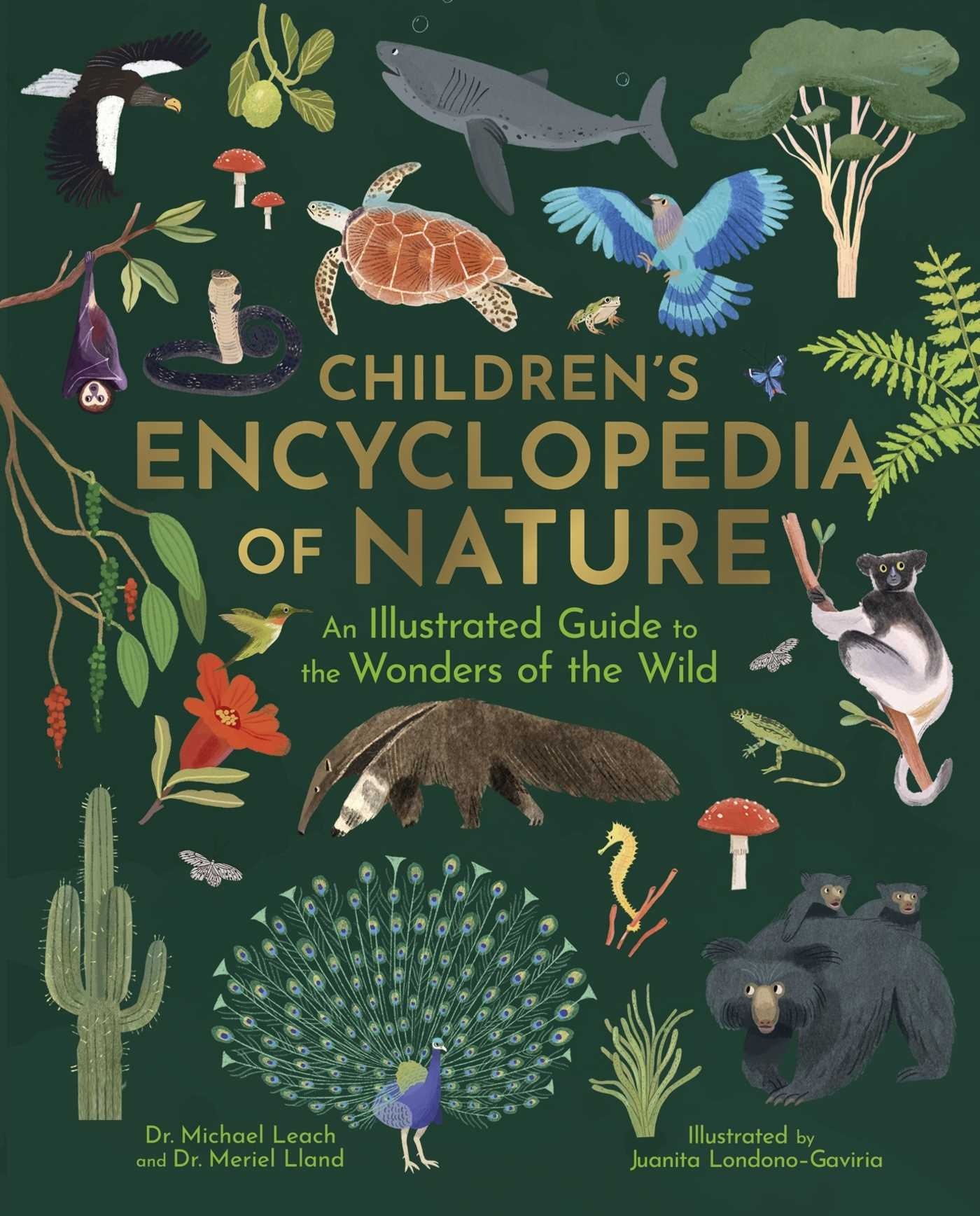 Arcturus Children's Encyclopedia of Nature: An Illustrated Guide to the Wonders of the Wild