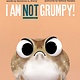 Simon & Schuster Books for Young Readers I Am Not Grumpy!