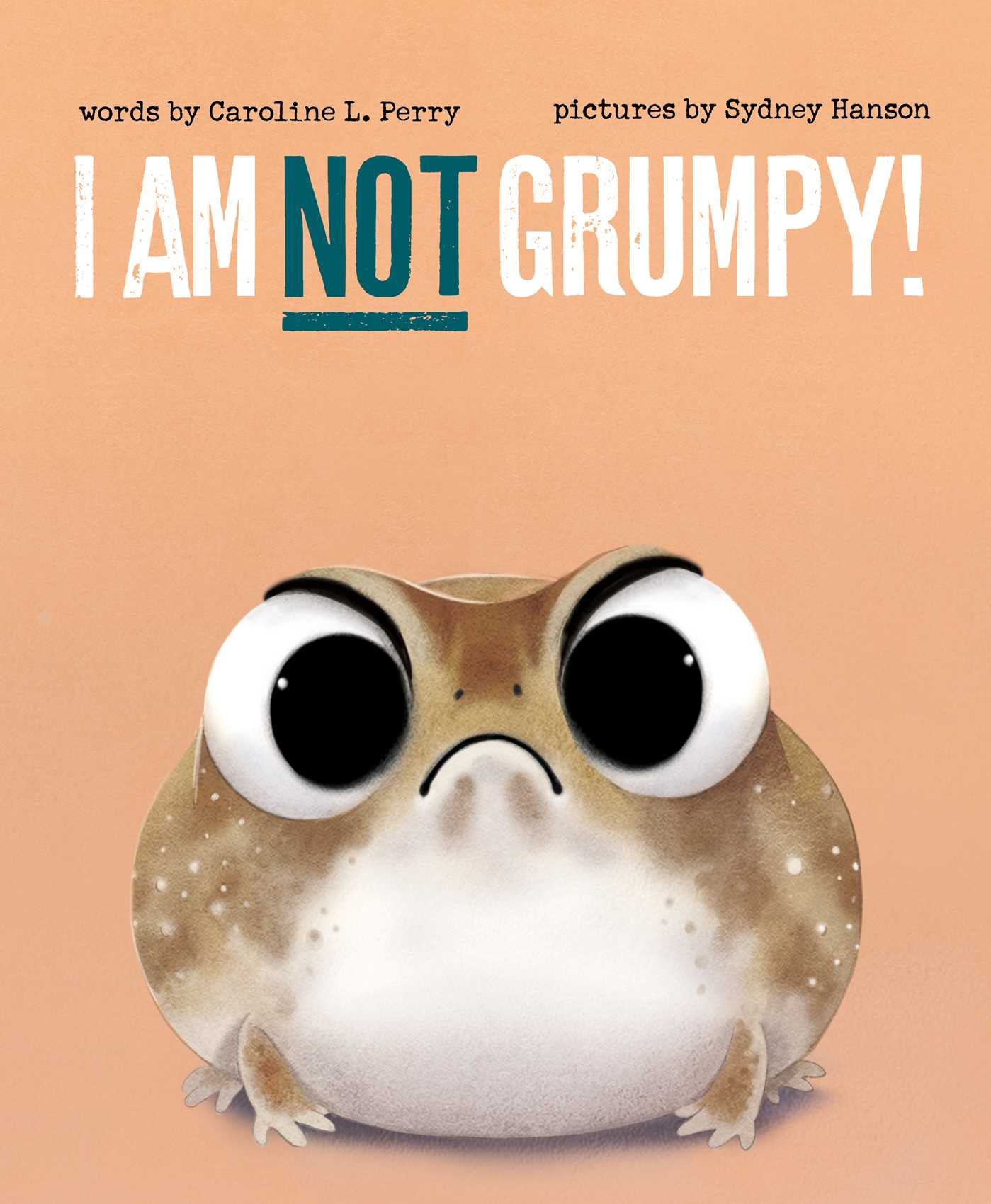 Simon & Schuster Books for Young Readers I Am Not Grumpy!