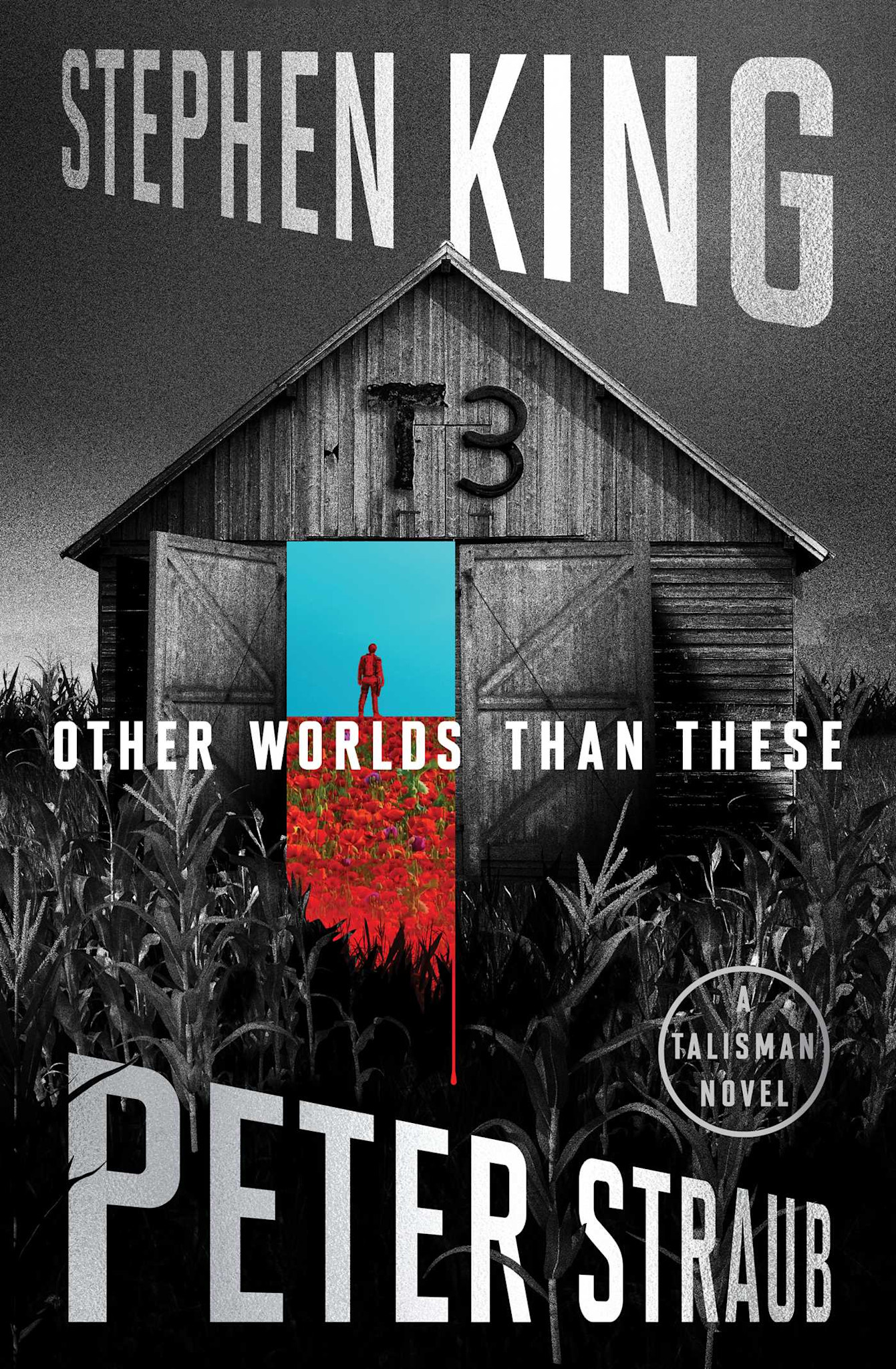 Scribner Other Worlds Than These: A Talisman Novel