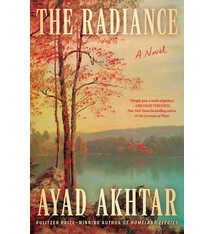 The Radiance: A Novel