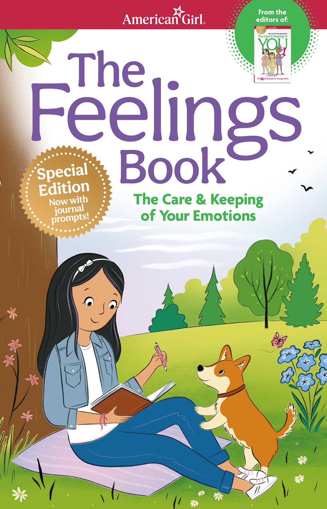 The Feelings Book