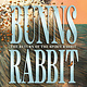 Candlewick Bunns Rabbit II: The Return of the Spirit Rabbit