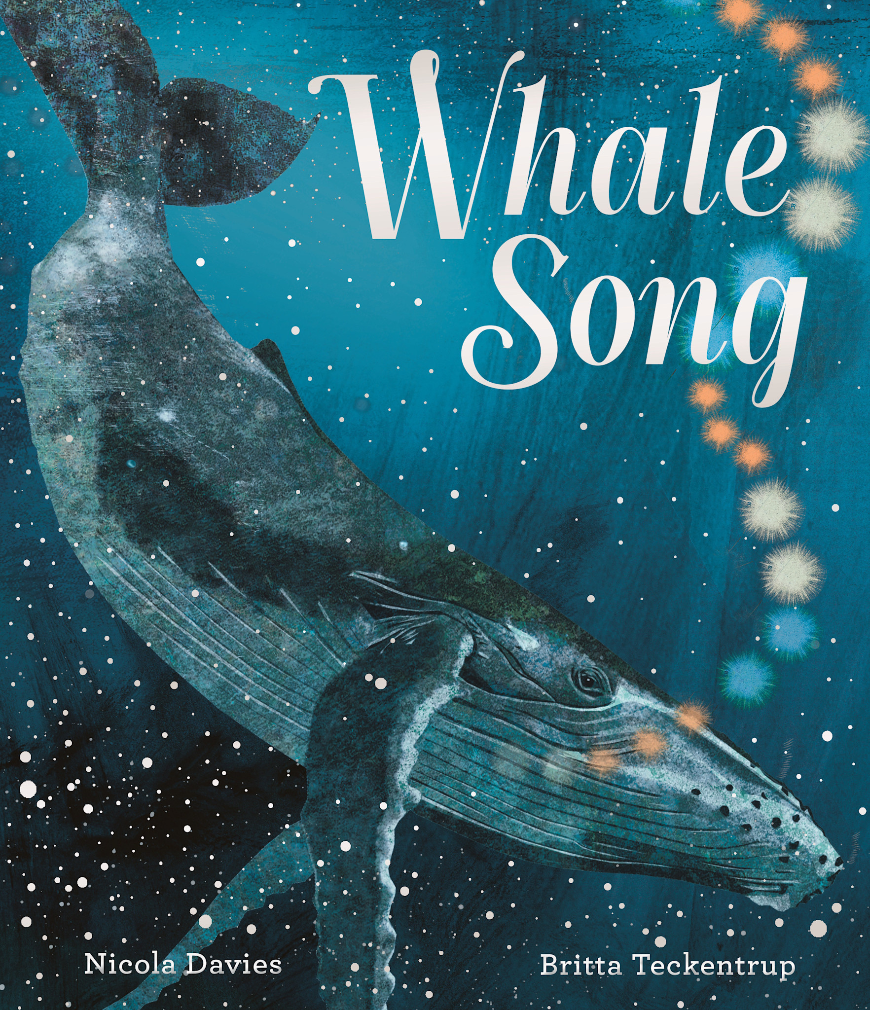Candlewick Whale Song