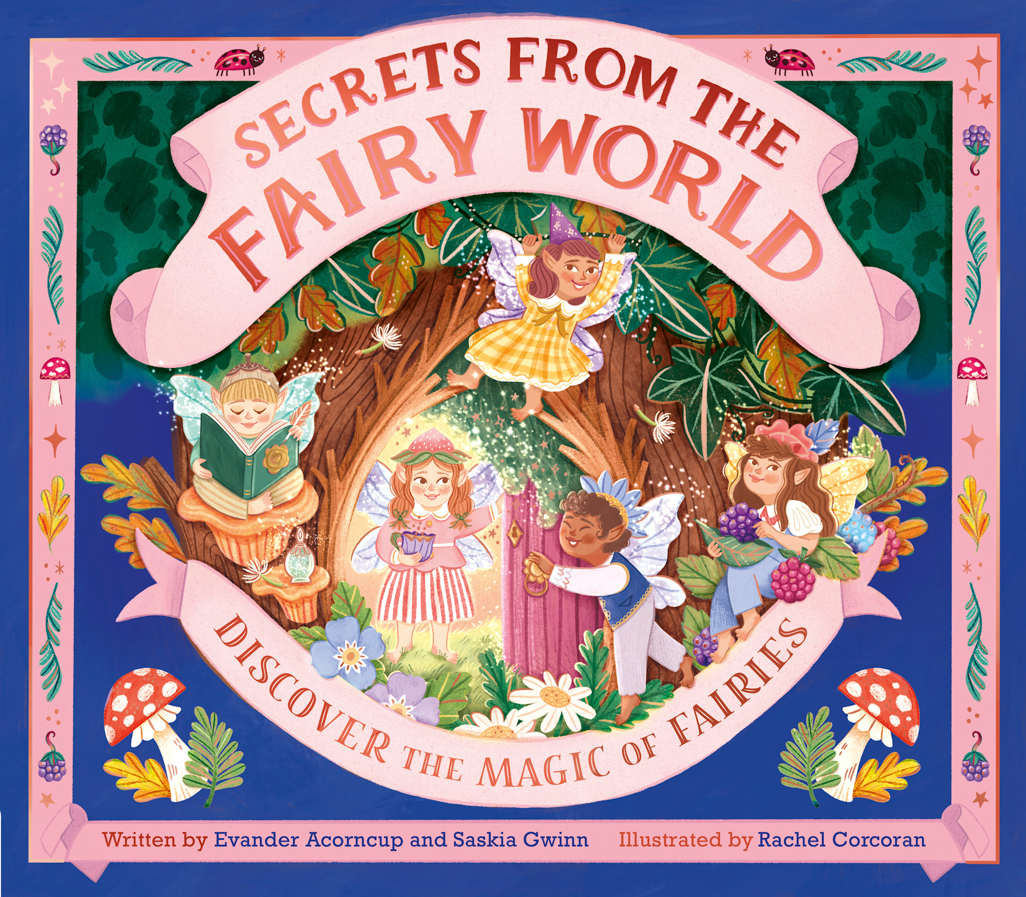 Frances Lincoln Children's Books Secrets from the Fairy World: Discover the Magic of Fairies