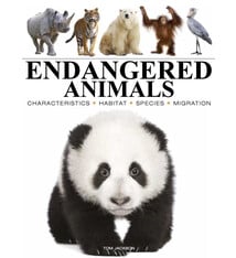 Amber Books Endangered Animals