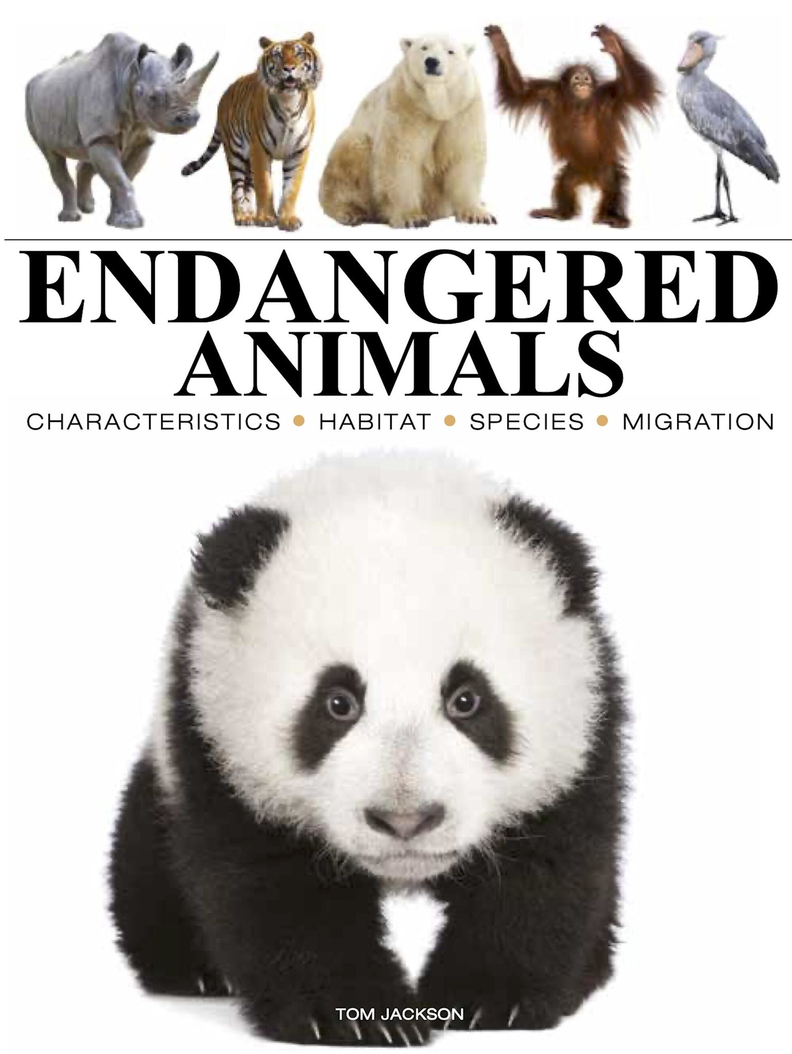 Amber Books Endangered Animals