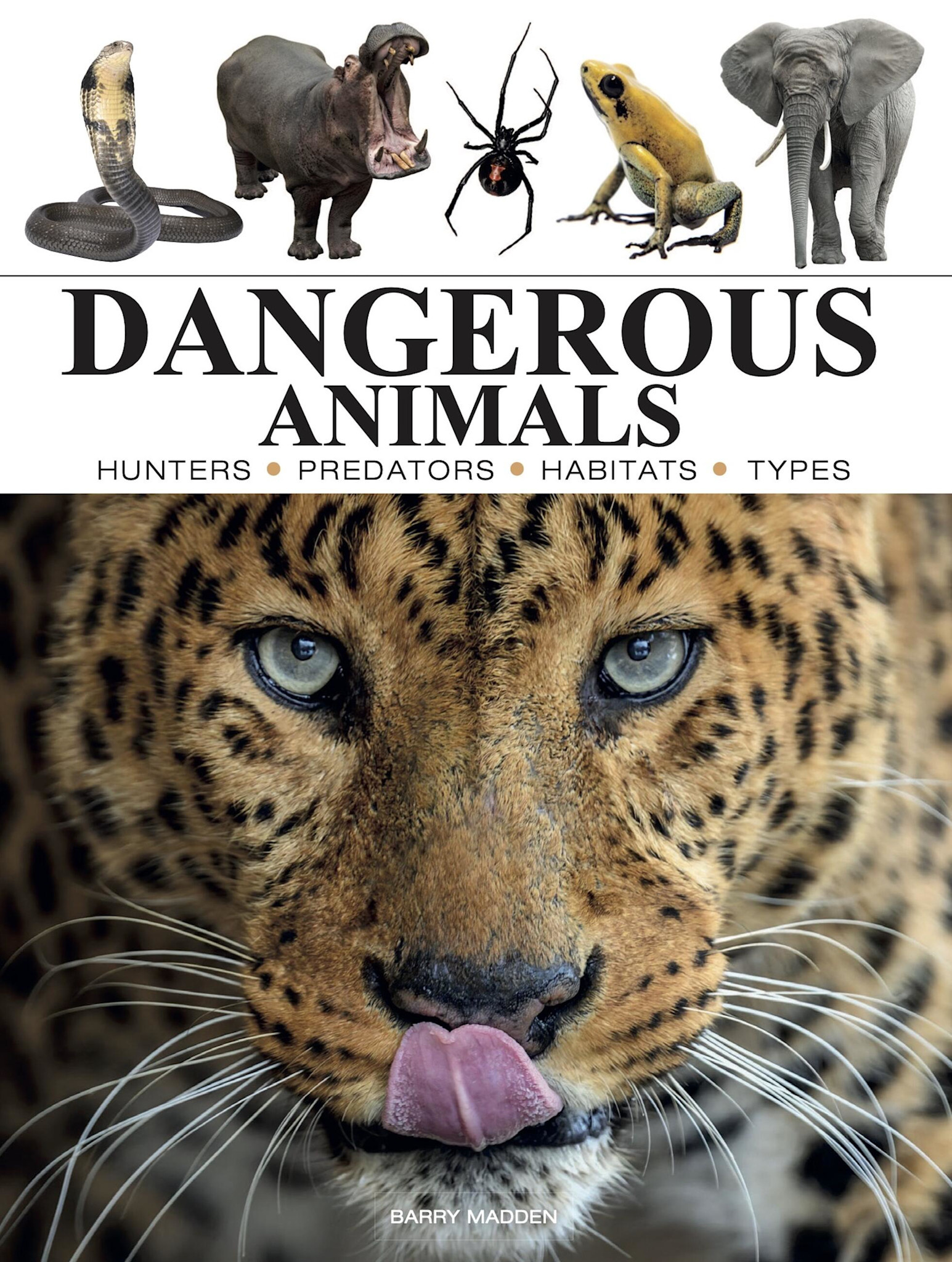 Amber Books Dangerous Animals