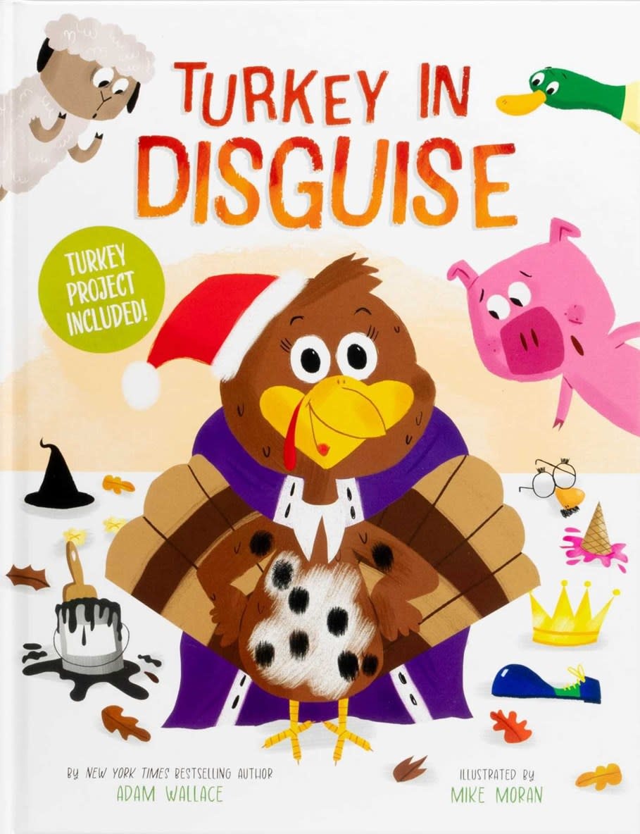 Silver Dolphin Books Turkey in Disguise!