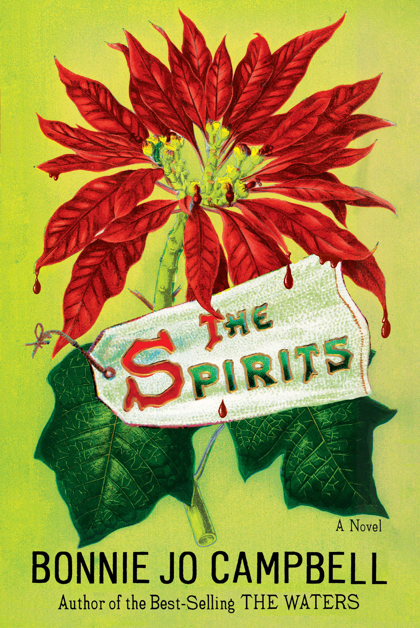 The Spirits: A Novel