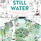 Eerdmans Books for Young Readers Still Water: The Wonders of Ponds, Pools, Wetlands, and More