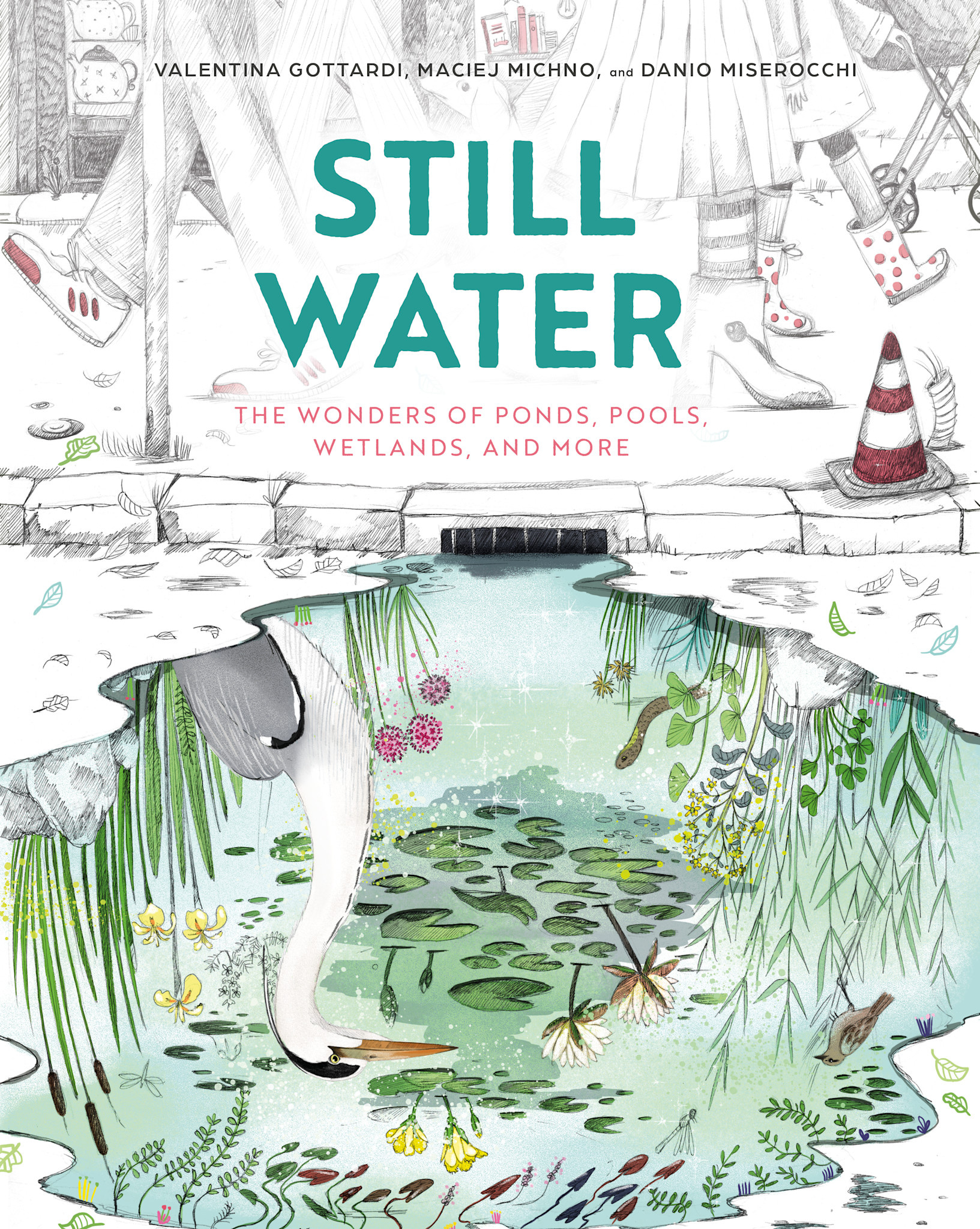 Eerdmans Books for Young Readers Still Water: The Wonders of Ponds, Pools, Wetlands, and More