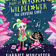 The Diary of Wiska Wildflower: The Crystal Cave