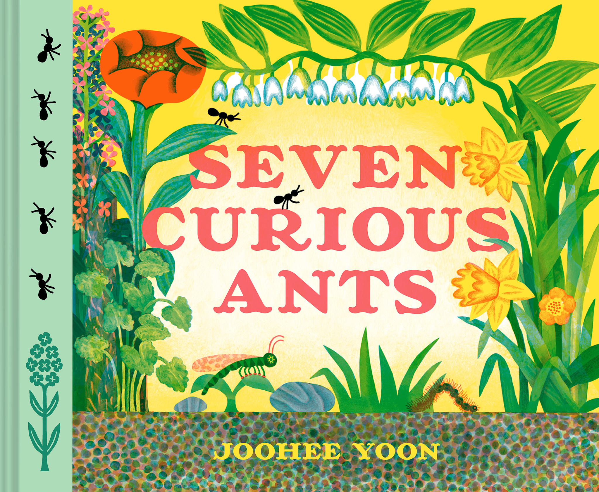Chronicle Books Seven Curious Ants