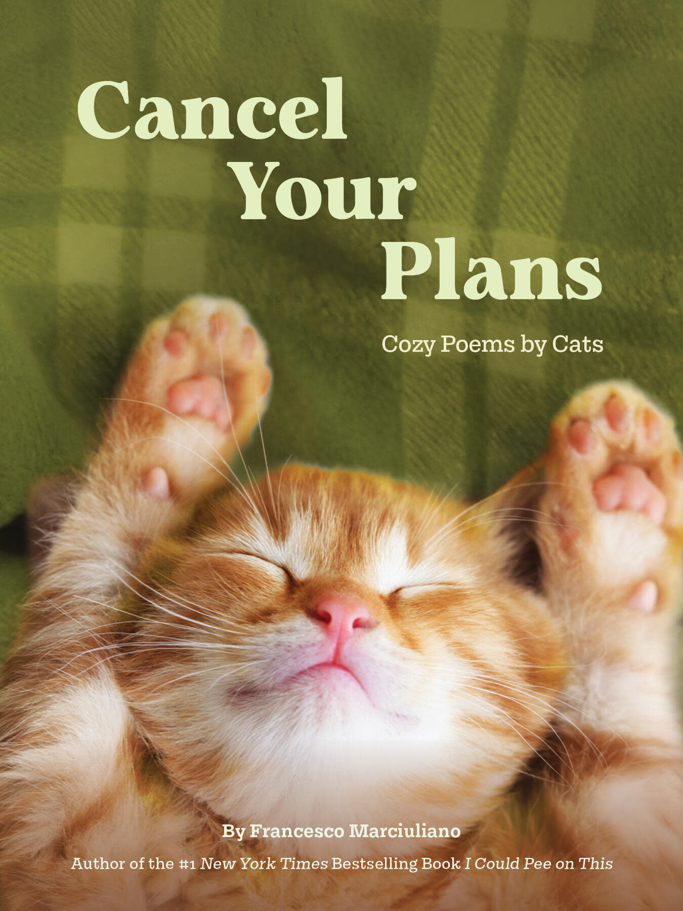 Chronicle Books Cancel Your Plans: Cozy Poems by Cats