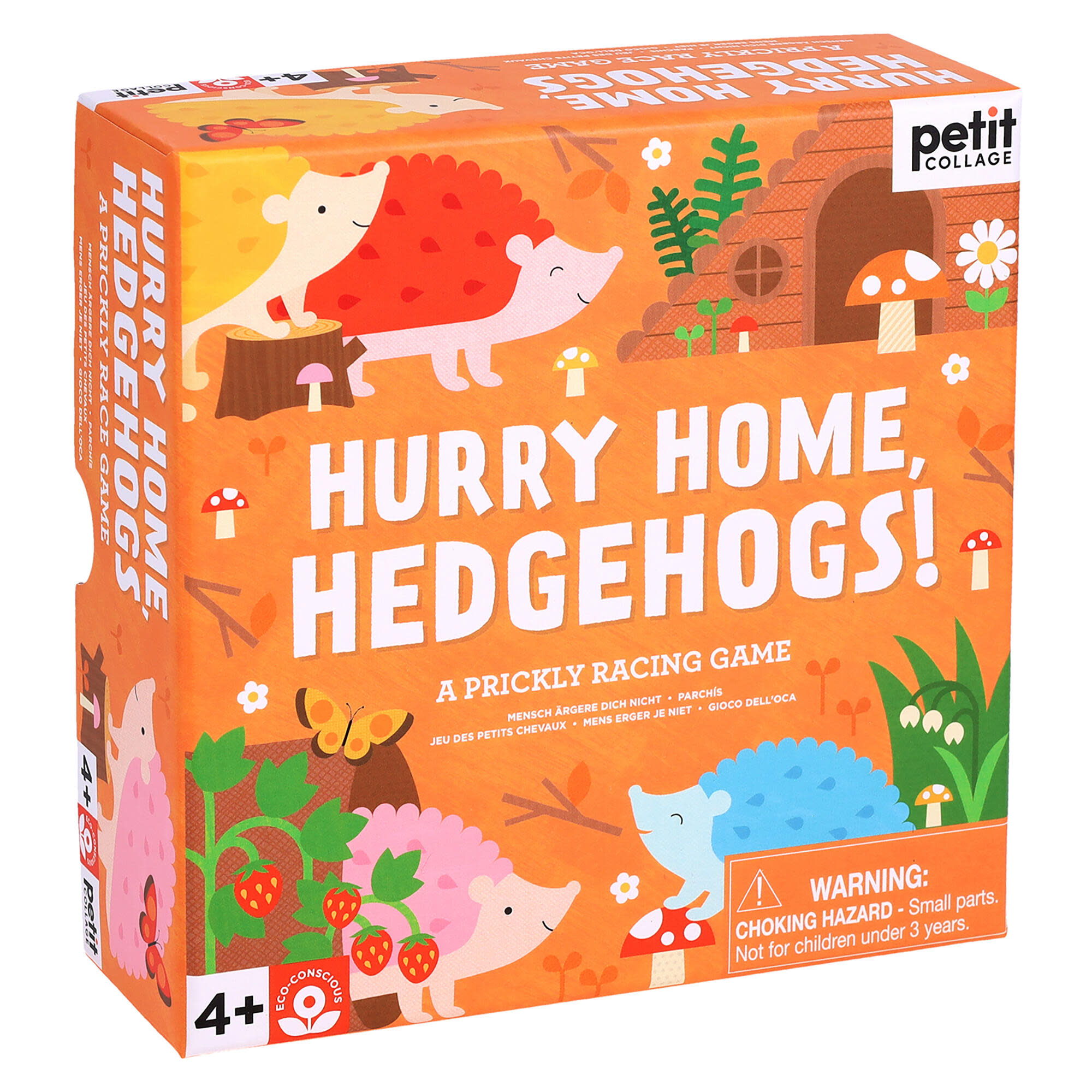 Hurry Home, Hedgehogs!: A Prickly Racing Game