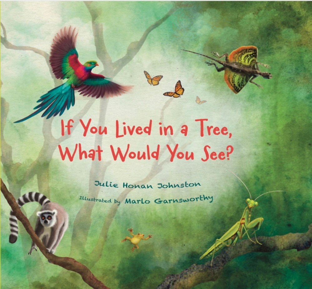 Web of Life Children's Books If You Lived in a Tree, What Would You See?
