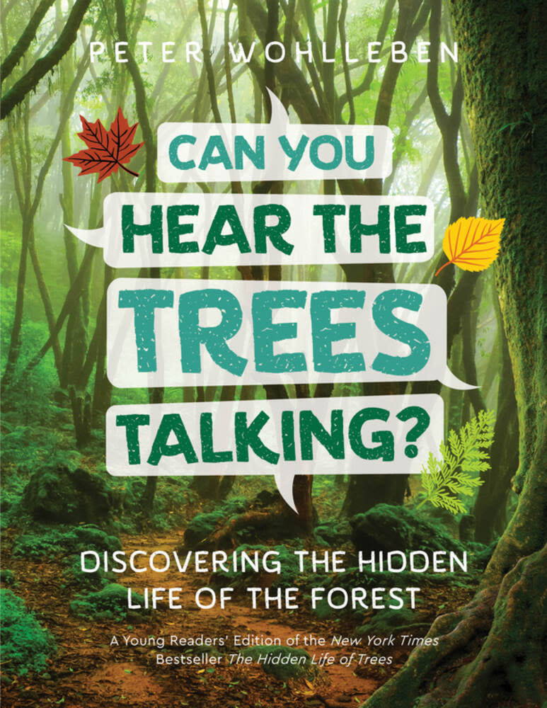 Greystone Kids Can You Hear The Trees Talking?: Discovering the Hidden Life of the Forest