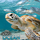 Kingfisher The Kingfisher Ocean Encyclopedia