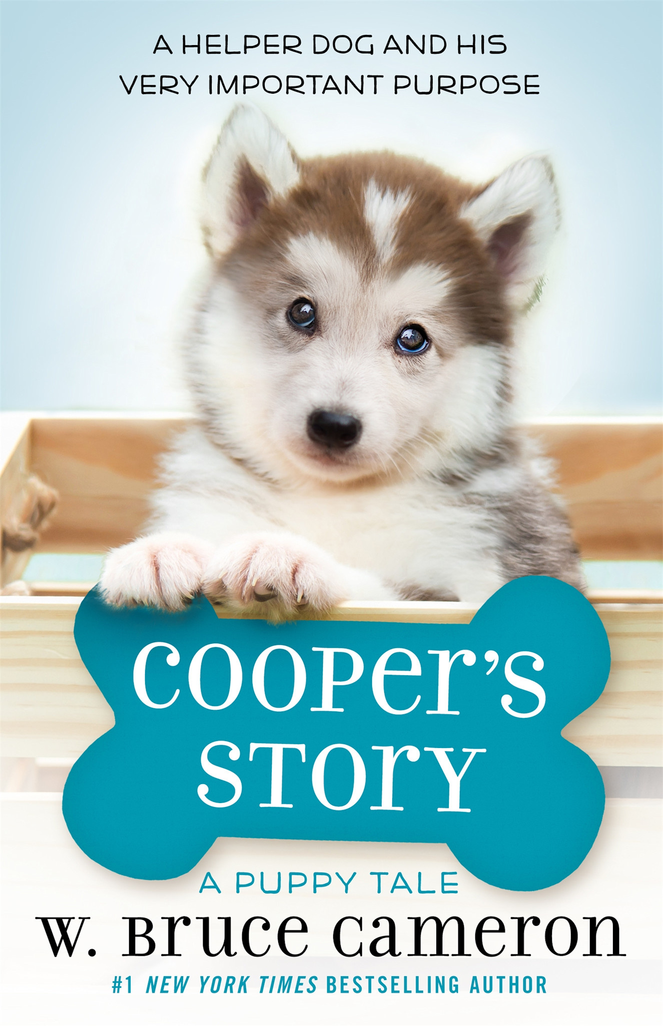 Odd Dot Cooper's Story: A Puppy Tale
