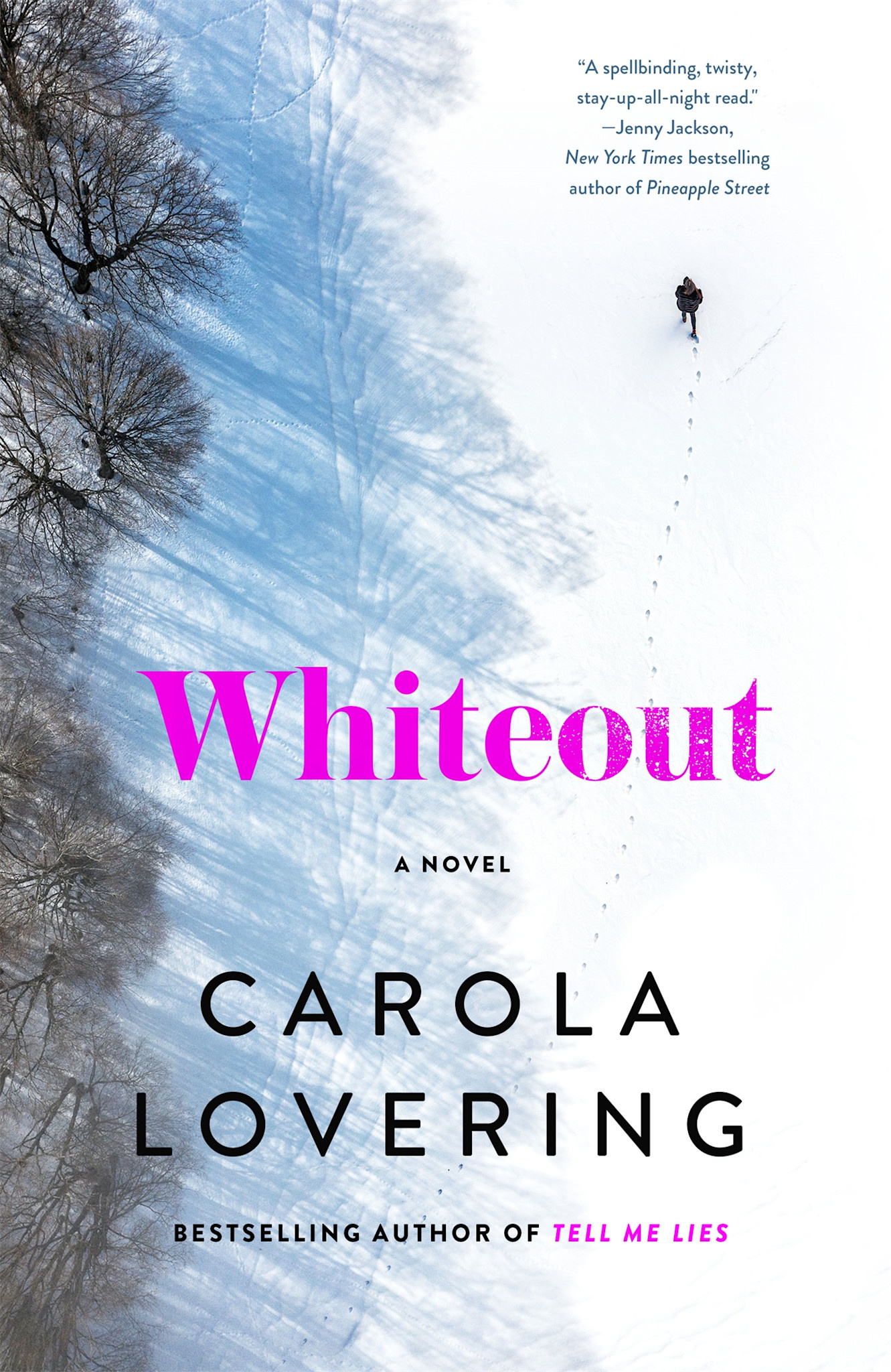 St. Martin's Press Whiteout: A Novel