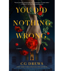 St. Martin's Griffin You Did Nothing Wrong: A Novel