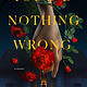 St. Martin's Griffin You Did Nothing Wrong: A Novel