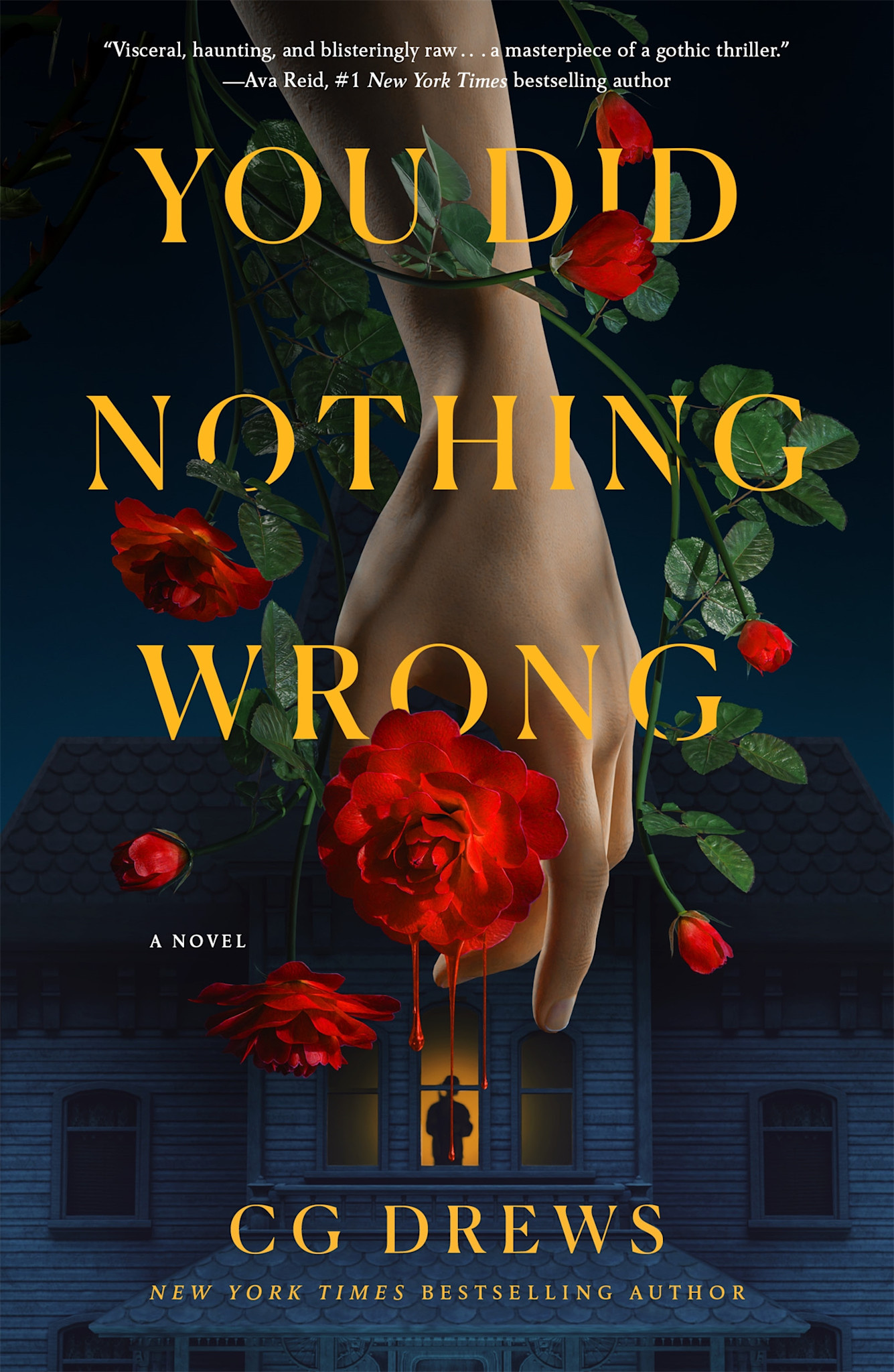 St. Martin's Griffin You Did Nothing Wrong: A Novel