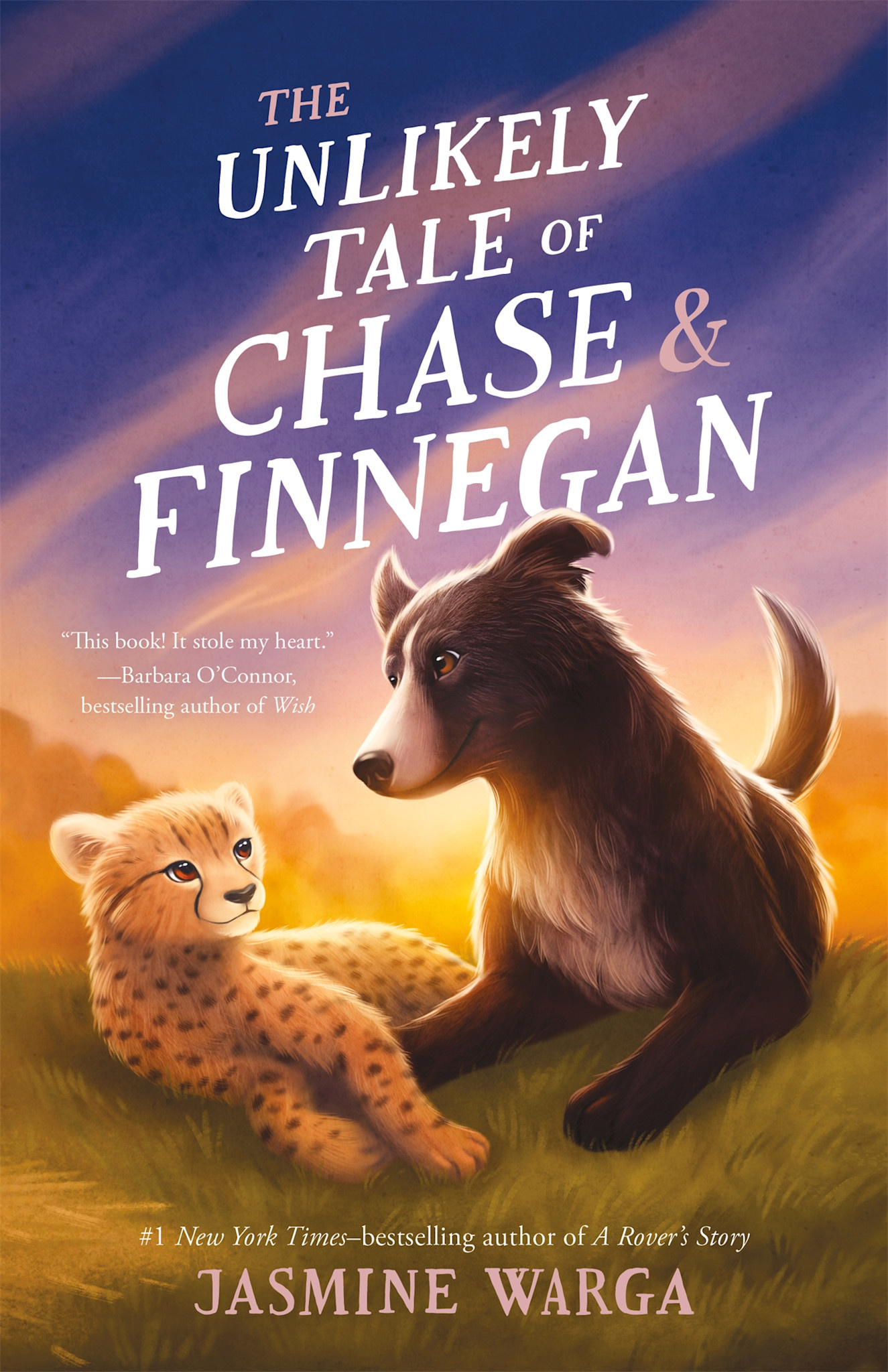 Balzer + Bray The Unlikely Tale of Chase and Finnegan