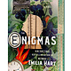 St. Martin's Press The Enigmas: A Novel