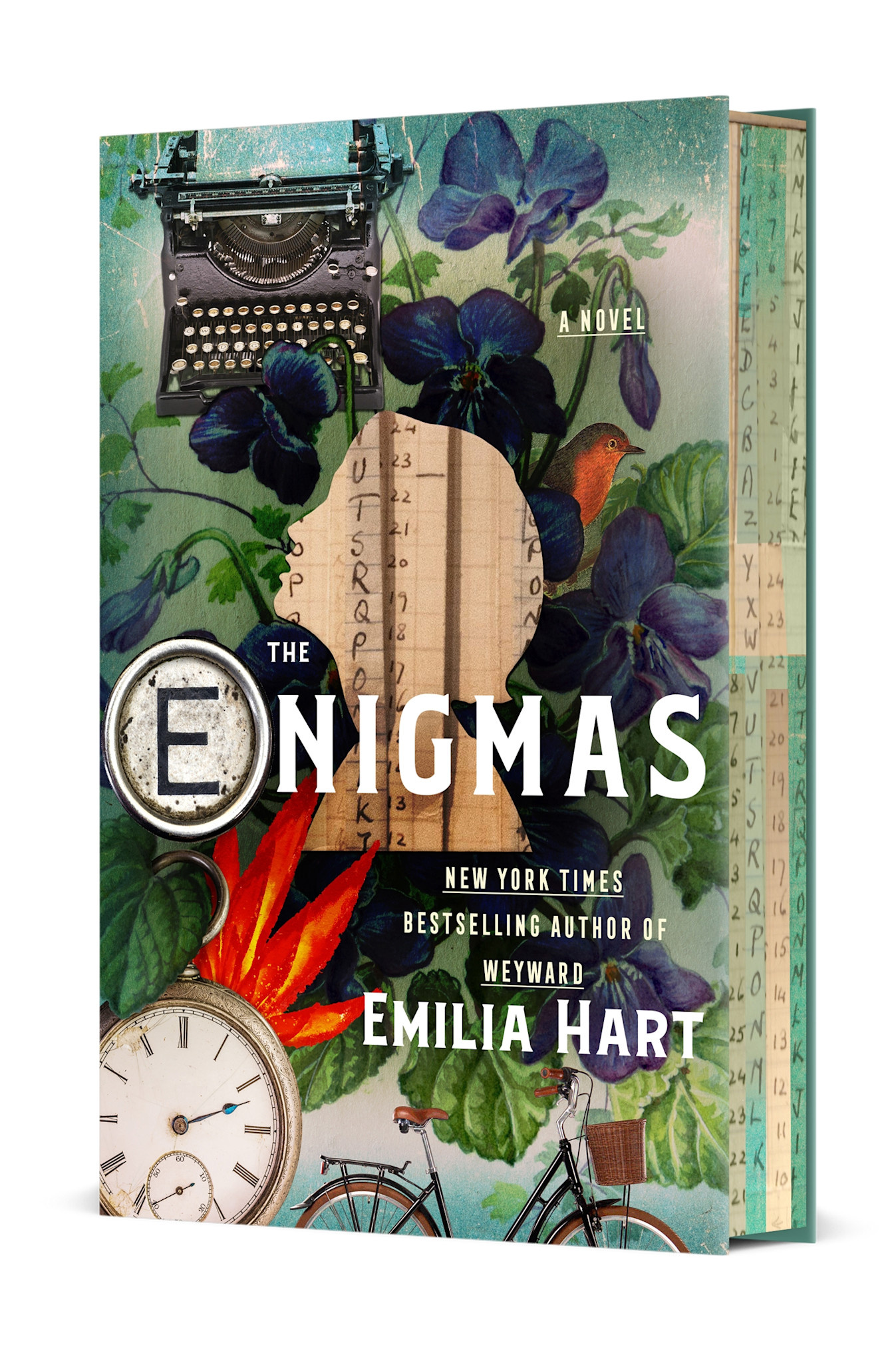St. Martin's Press The Enigmas: A Novel